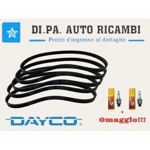 5 CINGHIE POLY DAYCO 4PK760...